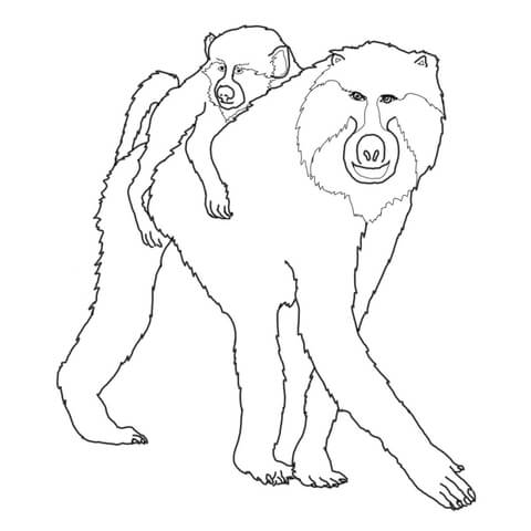 480x480 Mohter And Baby Baboon Coloring Page Free Printable Coloring Pages