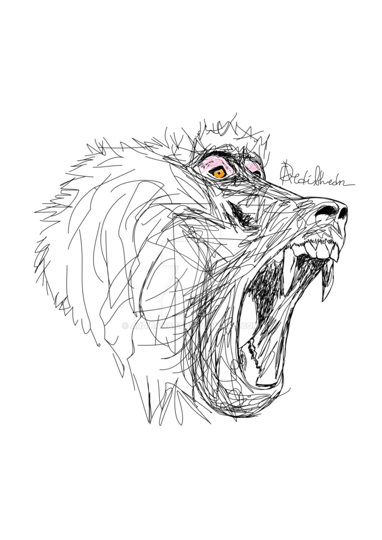 752x1063 Ohhfucking Baboon Was Angry By Ardibahart