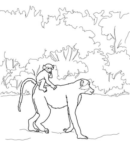 434x480 Baboon Baby Rides On Mothers Back Coloring Page Free Printable