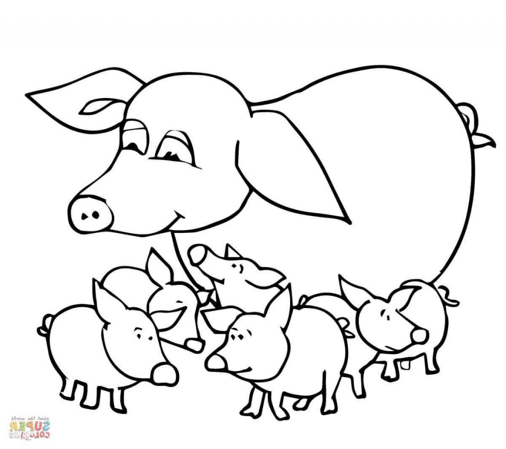 1024x908 Best 15 Baby Pigs And Mother Coloring Page Drawing