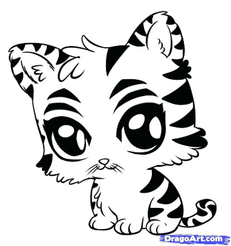 765x814 Coloring Pages Of Baby Animals How To Draw A Cute Tiger Step By