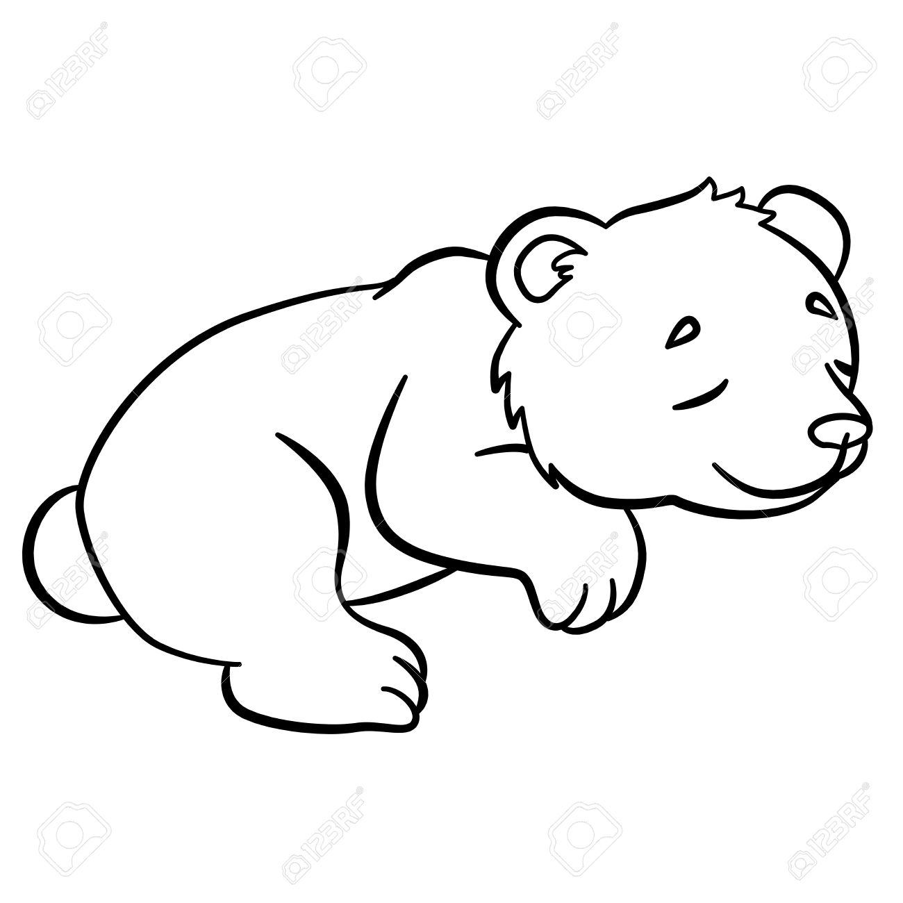 1300x1300 Coloring Pages. Wild Animals. Little Cute Baby Bear Sleeps. It