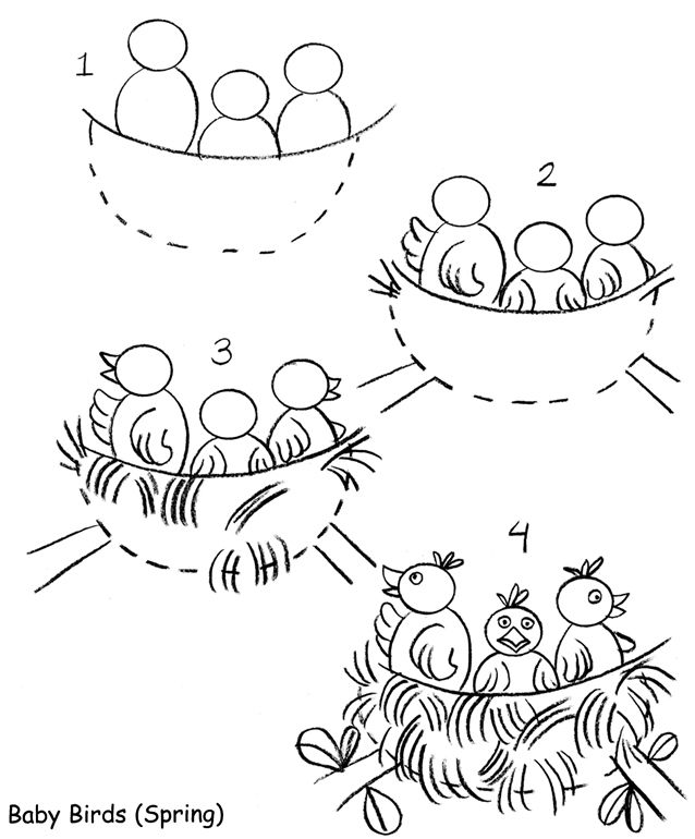 638x770 How To Draw Birds How To Draw Animals Bird, Draw