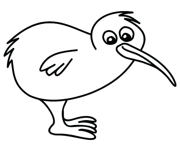600x504 Baby Bird Coloring Page