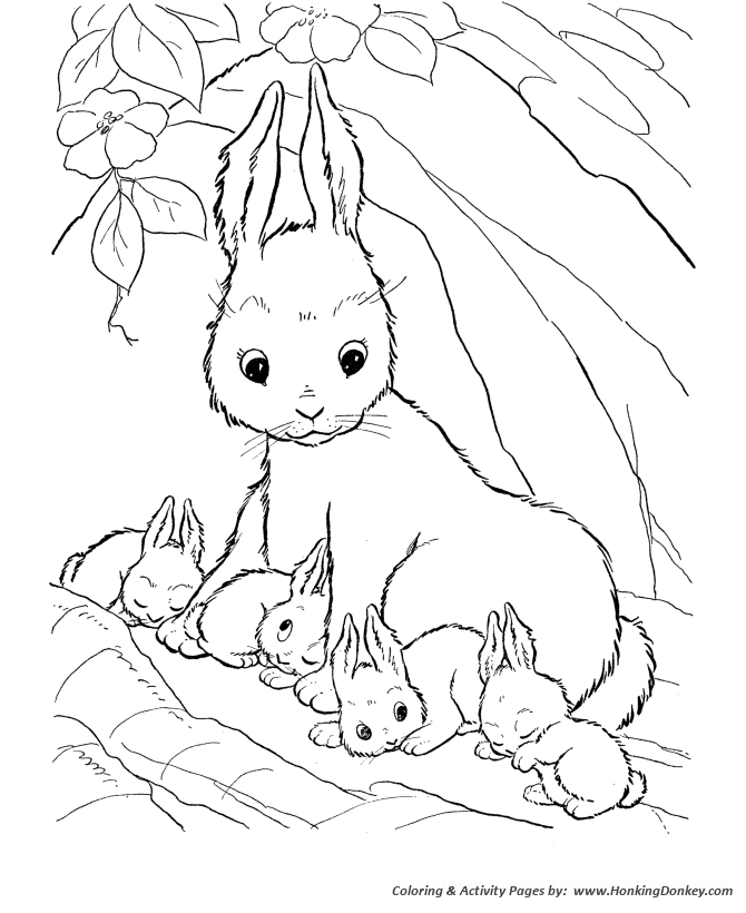 670x820 Farm Animal Coloring Pages Printable Mother Rabbit Coloring Page