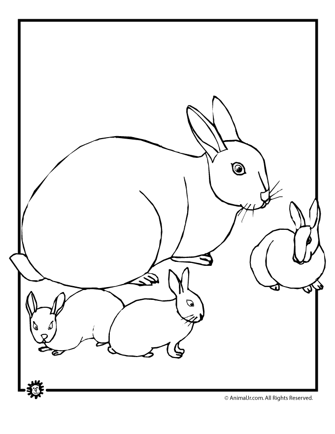 680x880 Baby Bunny Coloring Pages Animal Jr.
