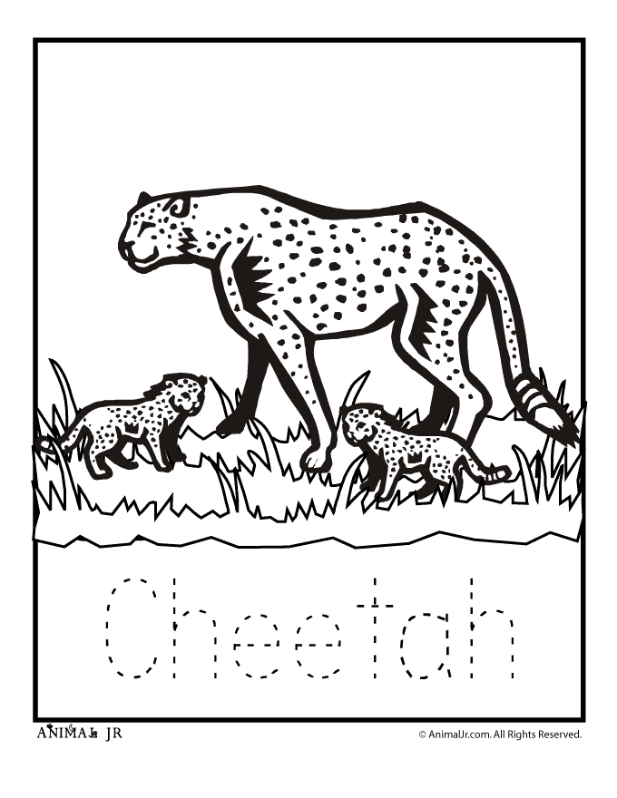 680x880 Zoo Animal Coloring Pages Baby Cheetah