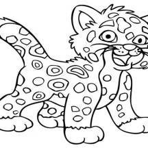 216x216 Cheetah Netart