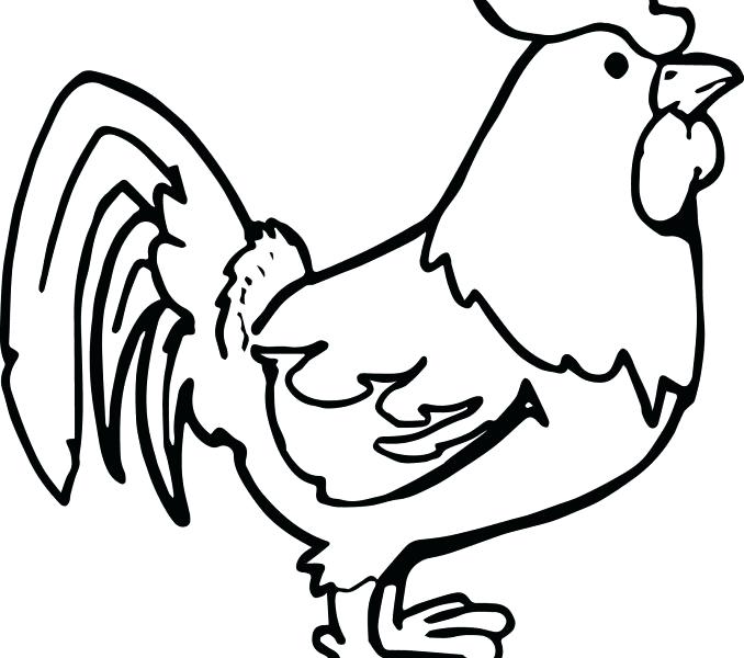 678x600 Chicken Coloring Page Chicken Coloring Page Chicken Coloring Pages