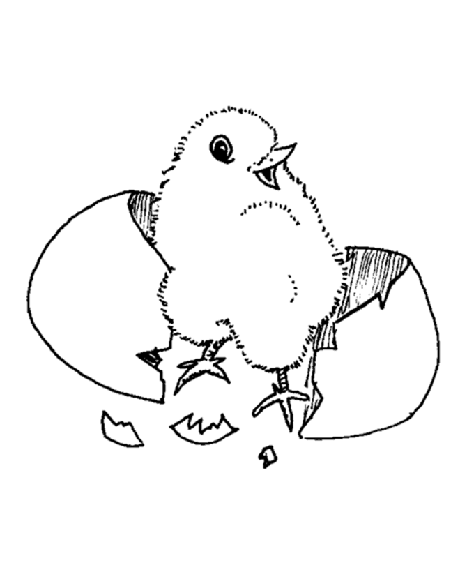 670x820 Coloring Pages Mega Blog Baby Chicken Cute Animal Coloring Sheet