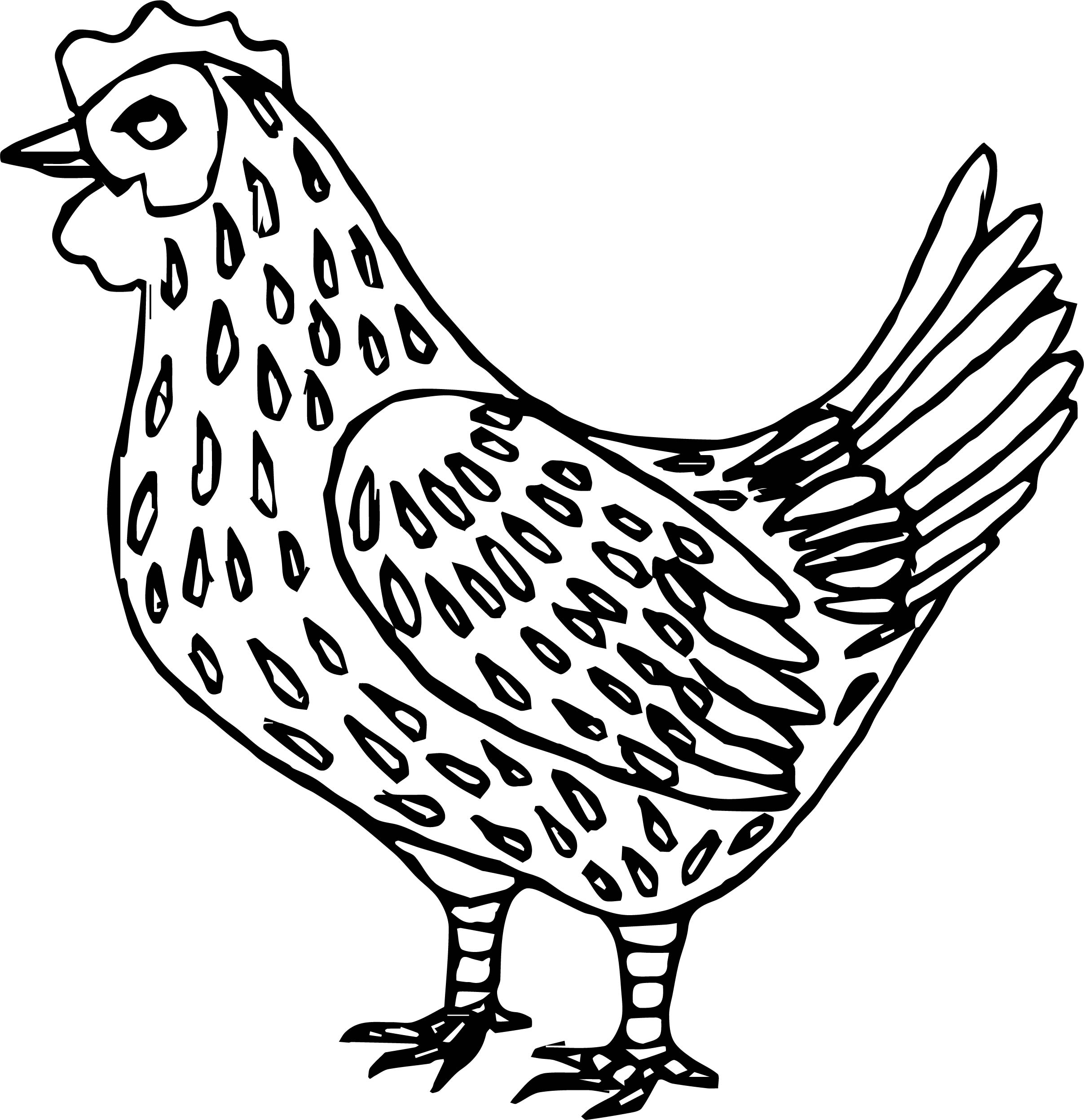 2414x2493 Baby Farm Animal Chicken Coloring Pages Wecoloringpage