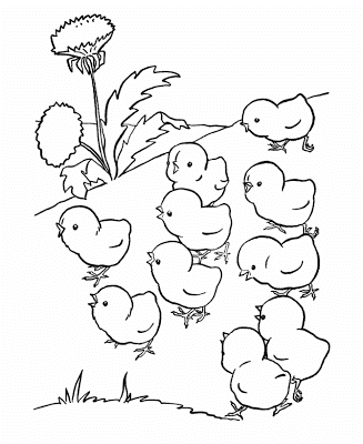 327x400 Baby Chicken Cute Animal Coloring Sheet For Kids Drawing