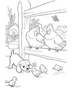 245x300 35 Best Animals Images On Hens And Chicks, Poultry