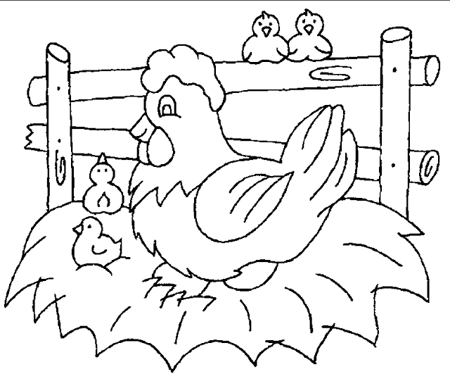 640x531 Colour Drawing Free Wallpaper Hen And Chicken Mom Baby Drawing