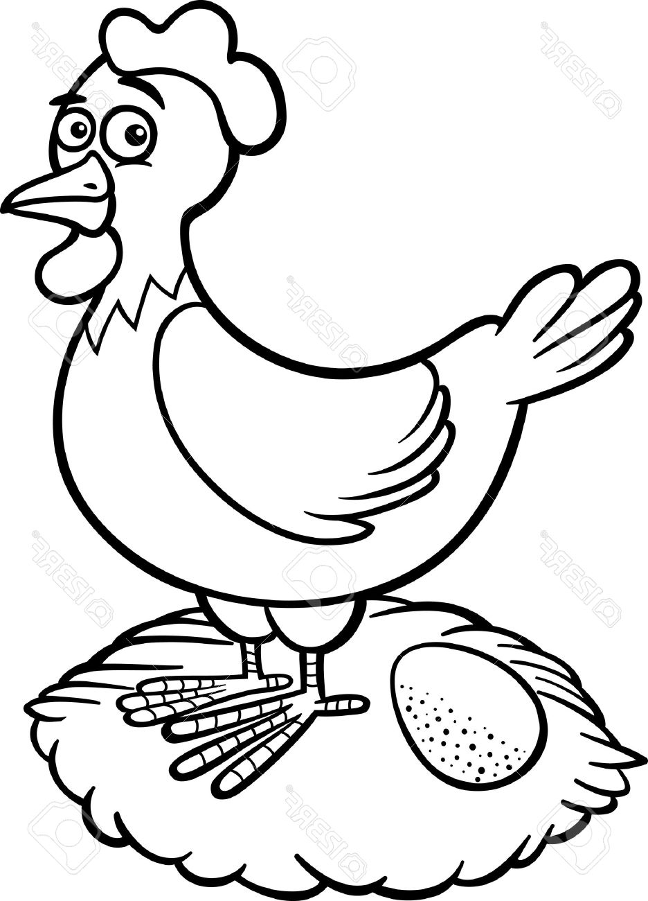 936x1300 How To Draw A Chicken, A Baby Chick And A Rooster