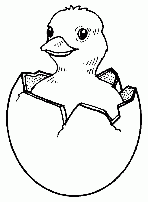580x790 Chicken Easter Coloring Pages Baby Chicks Easter Coloring Pages