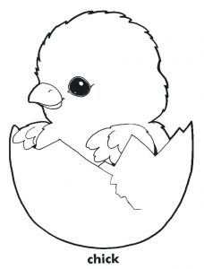 228x300 Easter Chick Coloring Pages Toddler