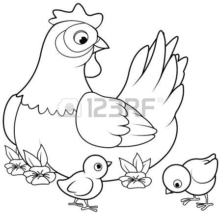 450x438 Hen And Chicks Stock Photos. Royalty Free Business Images