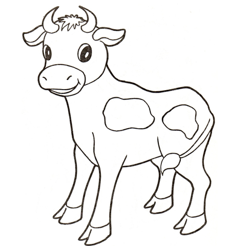 445x480 Baby Cow Coloring Page Free Printable Coloring Pages