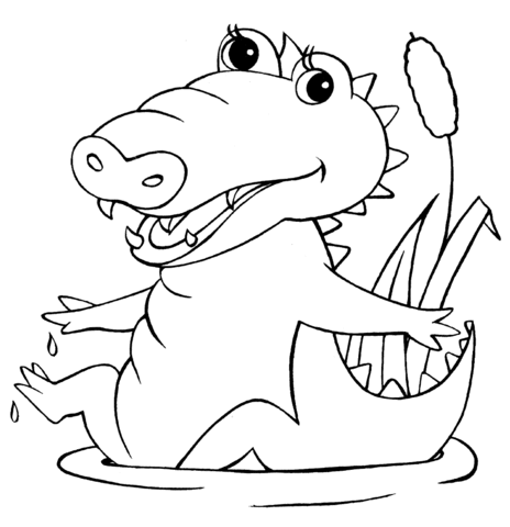 464x480 Baby Crocodile Coloring Page Free Printable Coloring Pages