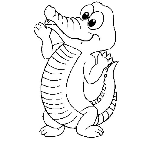 505x470 Baby Crocodile Coloring Page