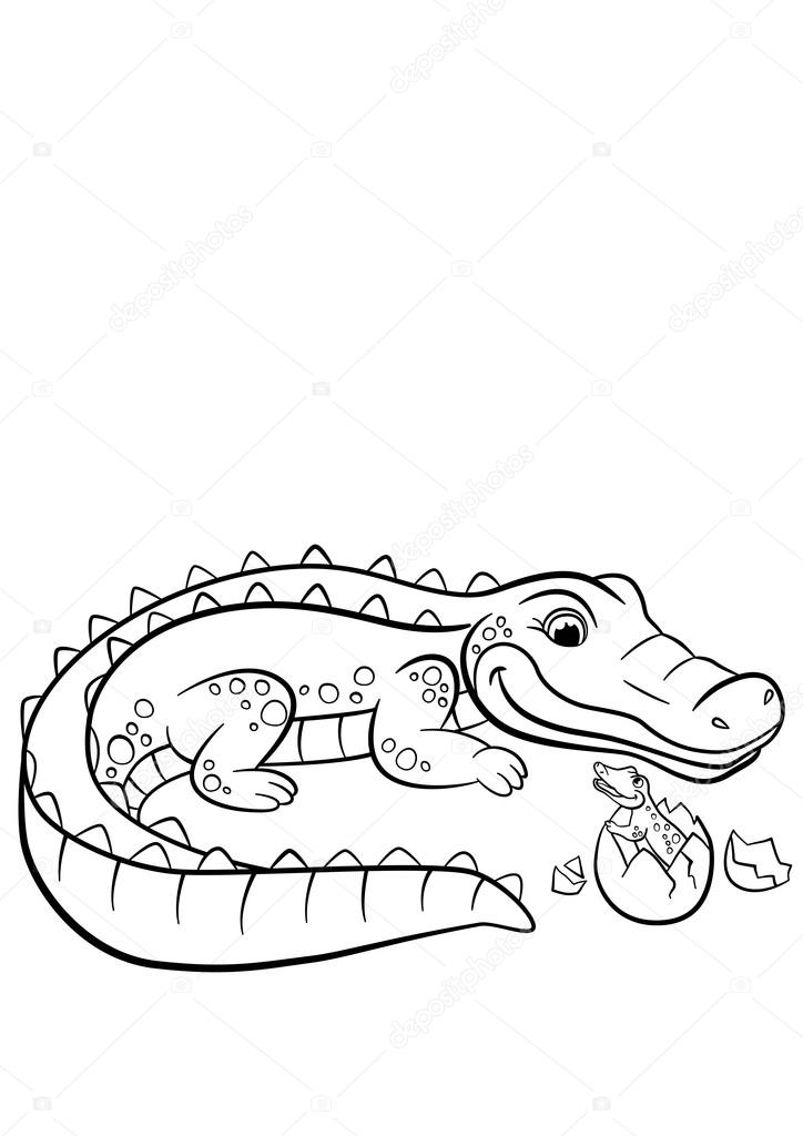 724x1024 Coloring Pages. Animals. Mother Alligator Looks