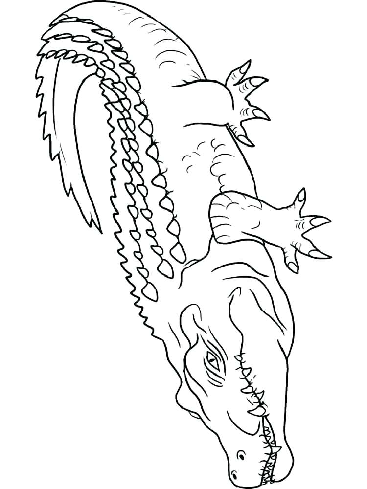 750x1000 Crocodile Coloring Pictures Crocodile Coloring Pages 1table.co