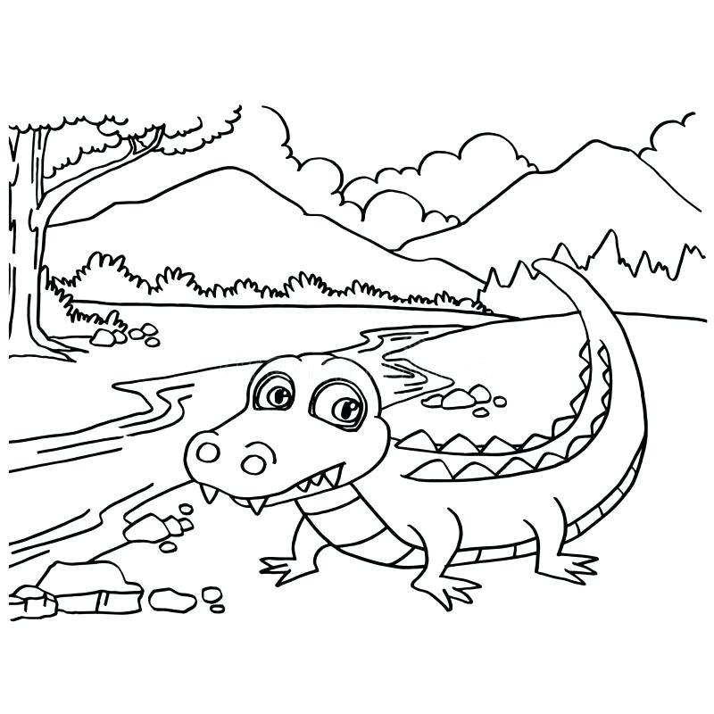 800x800 Awesome Crocodile Coloring Pages Kids Sheet Drawing Baby Page