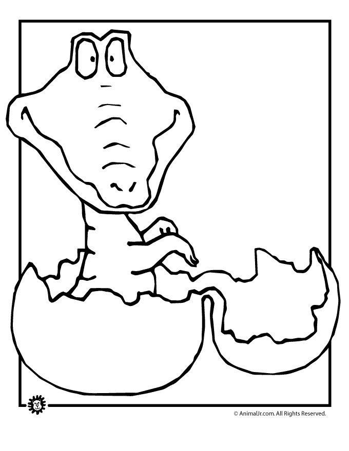 680x880 Baby Crocodile Egg Coloring Page Animal Jr.