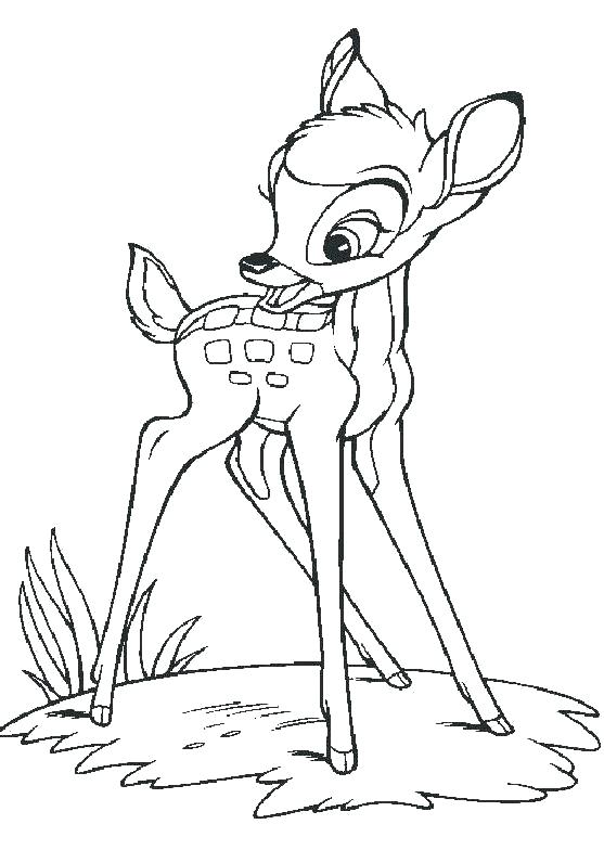 557x784 This Is Deer Coloring Pages Pictures Coloring Pages 1 Printable