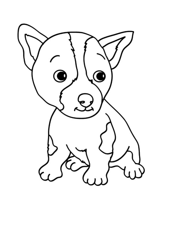 600x777 Chihuahua Dog Netart