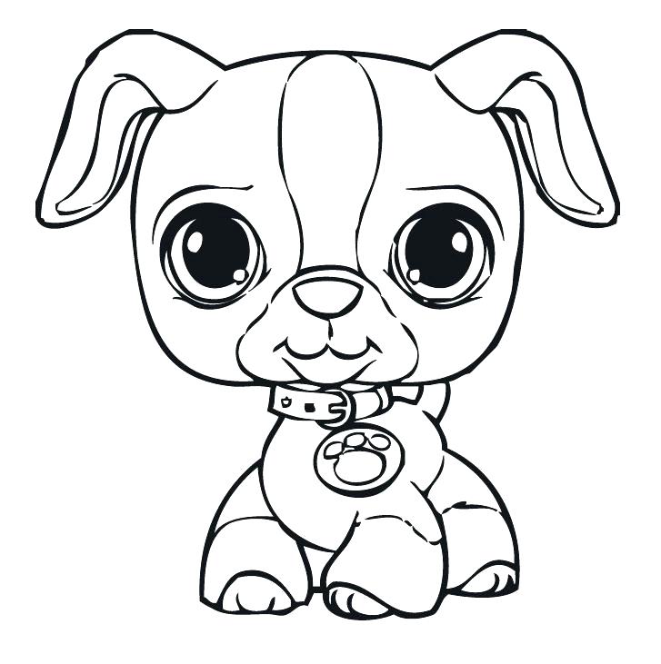 727x731 Dog Face Coloring Page