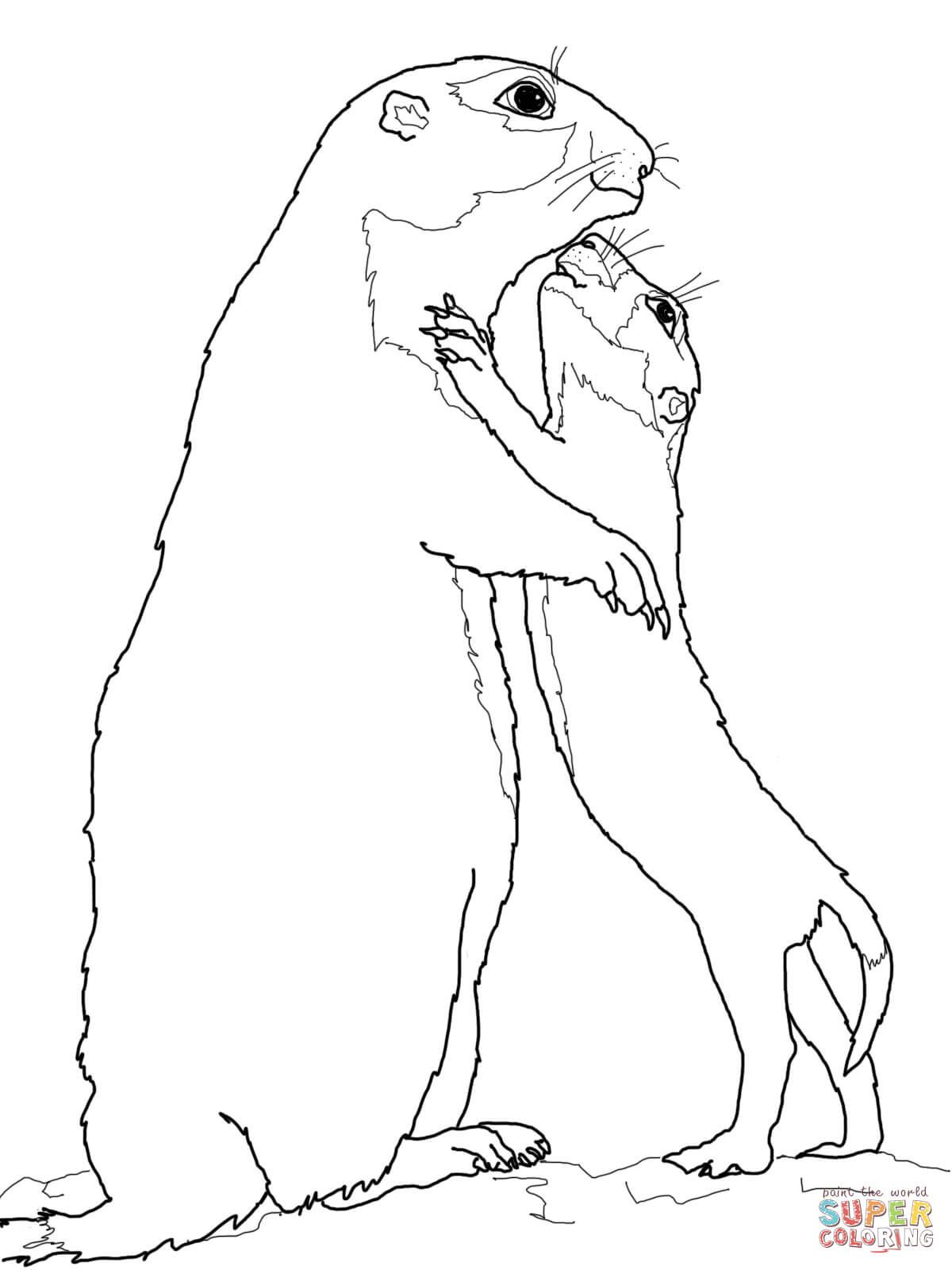 1200x1600 Prairie Dog Baby And Mother Coloring Page Free Printable