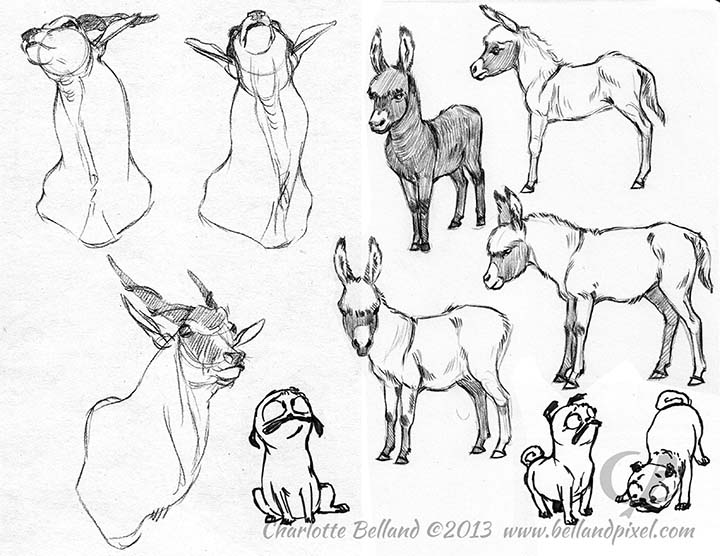 720x556 Eland, Baby Donkeys And Pugs Bellandpixel