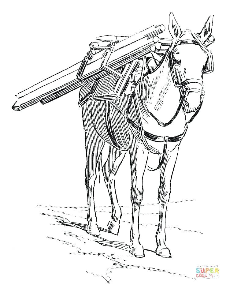 739x931 Donkey Coloring Page Cortefocal.site