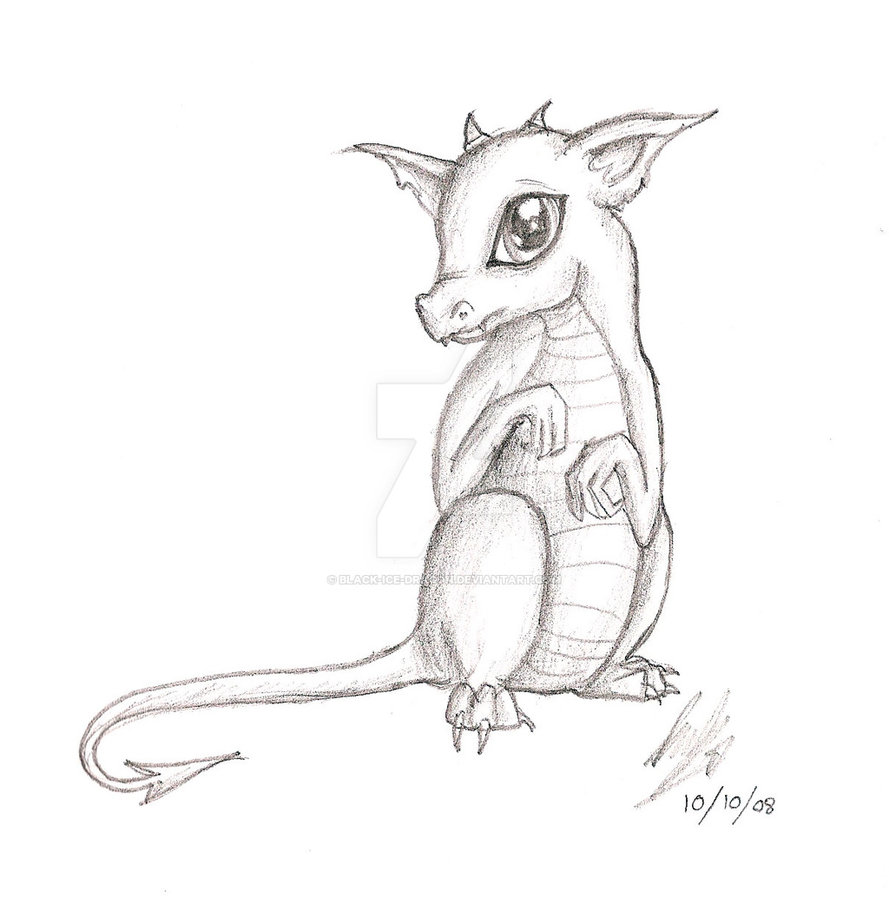 889x898 Baby Dragon 1 By Black Ice Dragon