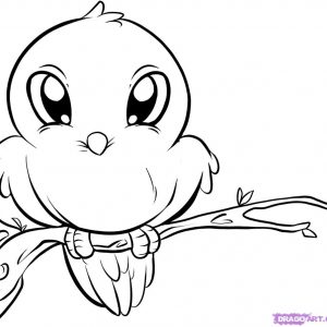 300x300 Pics Of Draw Cute Baby Animals Coloring Pages Animal Drawings Easy
