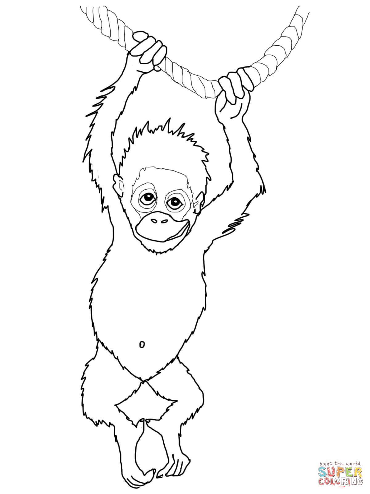1200x1600 Baby Orangutan Coloring Page Free Printable Coloring Pages
