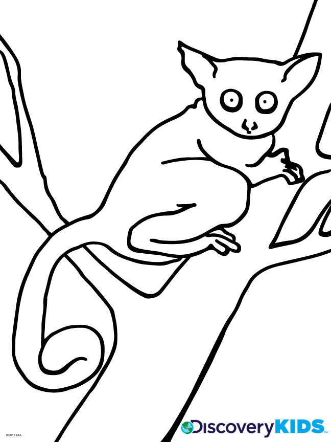 648x864 Busy Baby Coloring Page Discovery Kids