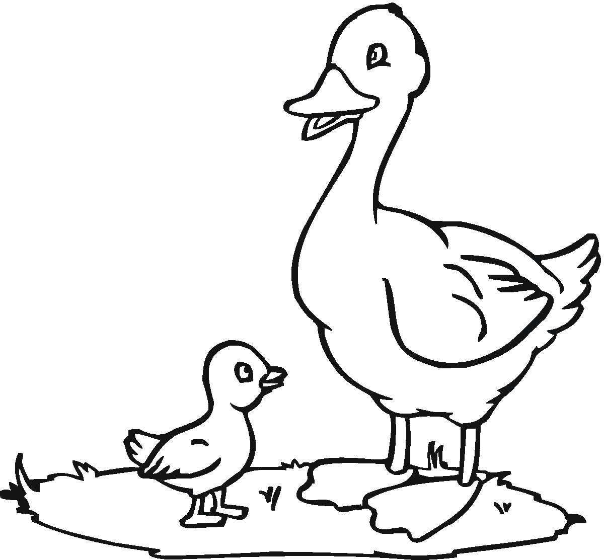 1200x1113 Coloring Pictures Of Baby Ducks Best Of Free Printable Duck