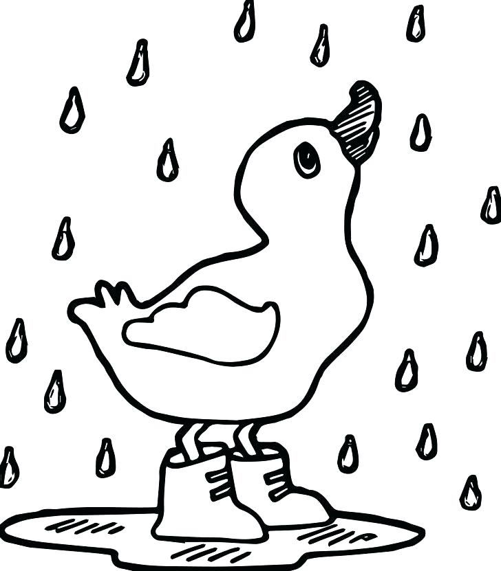 728x831 Duck Coloring Pages To Print Duck Coloring Pages Baby Duck
