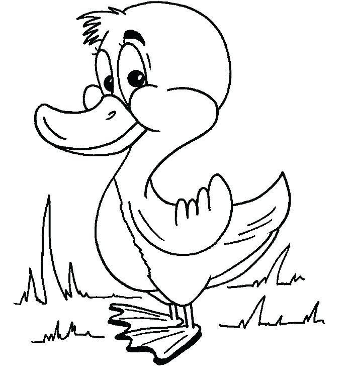 700x762 Duckling Coloring Pages Duck Coloring Pages Duck Coloring Pages