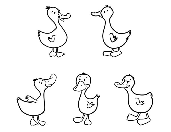 600x464 Five Baby Duck Coloring Page