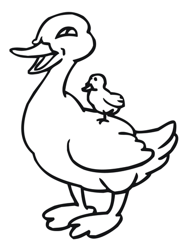 360x480 Baby Duckling Riding On Mother Duck Coloring Page Free Printable