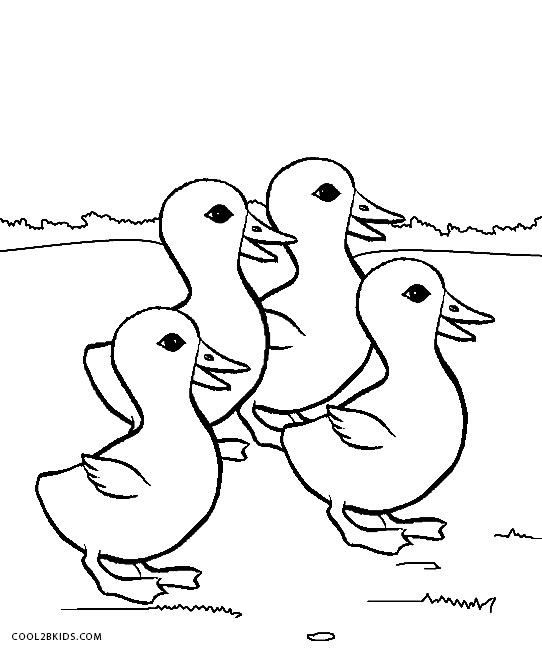 542x650 Coloring Pages Of Ducks For Funny Draw Paint Baby Duck Page