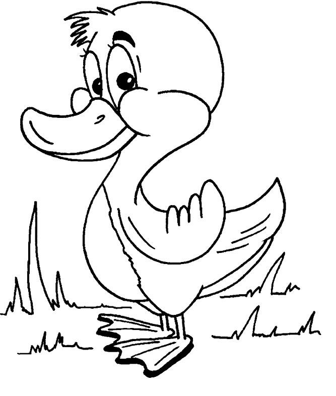 667x786 Duck Clipart Black And White