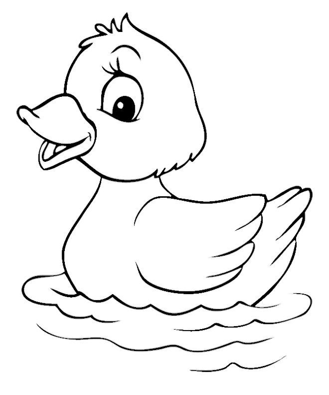 660x791 Duck Coloring Pages For Preschoolers Baby Duck Coloring Pages