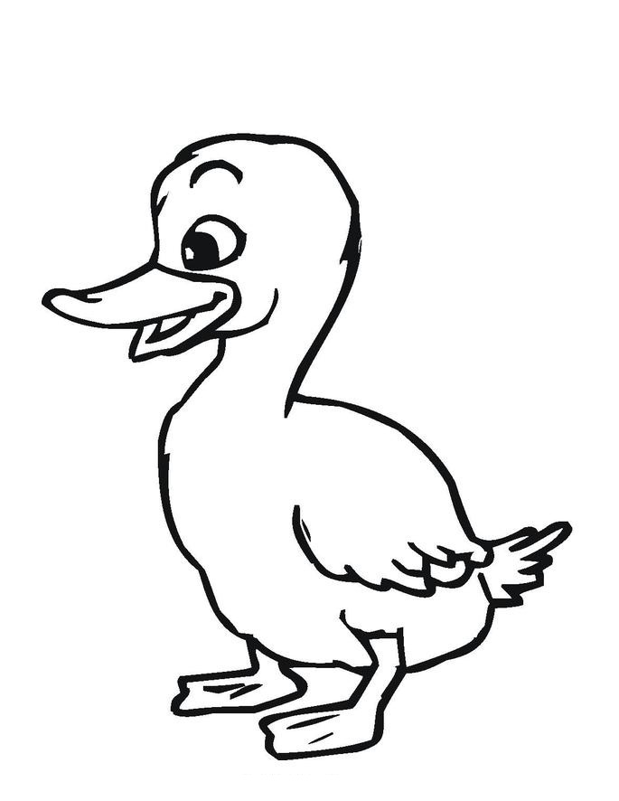 685x886 Free Printable Duck Coloring Pages For Kids