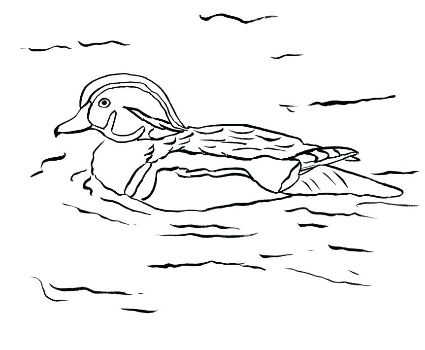 863x710 Oregon Duck Coloring Pages On Coloring Pages Of Ducks Baby