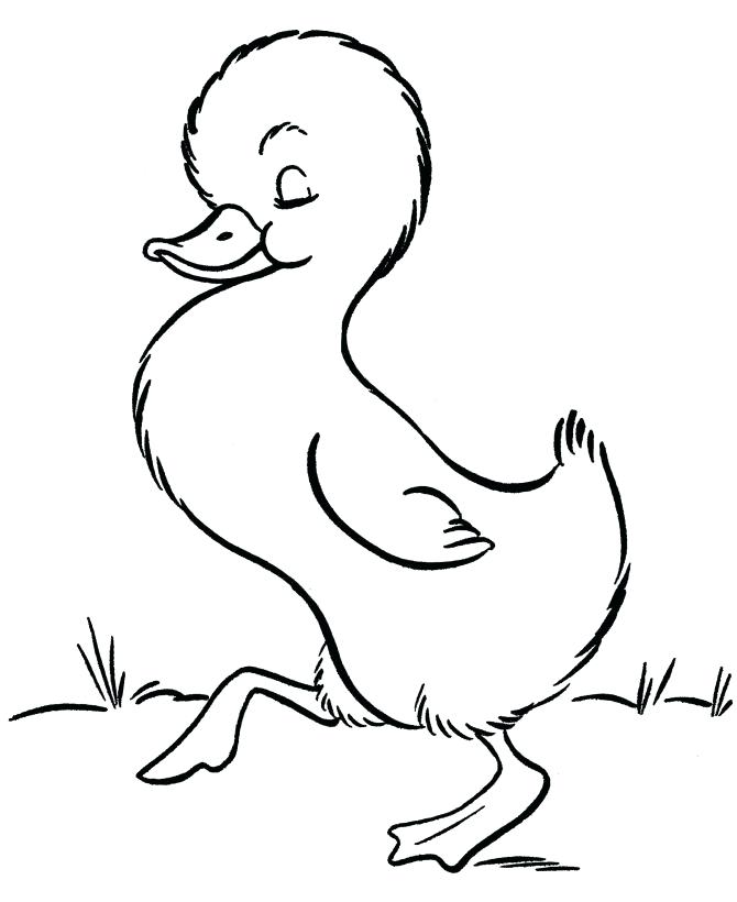 670x820 Coloring Pages Cute Animals